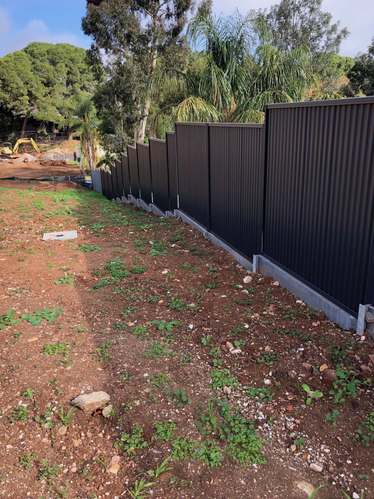 Colourbond fencing